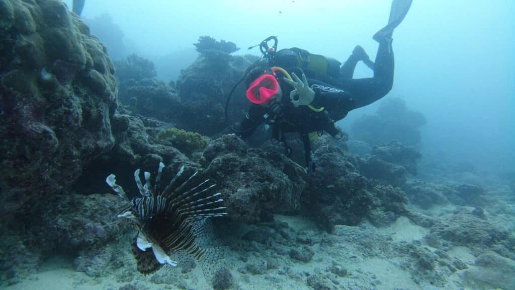 Blue Caledonia Diving