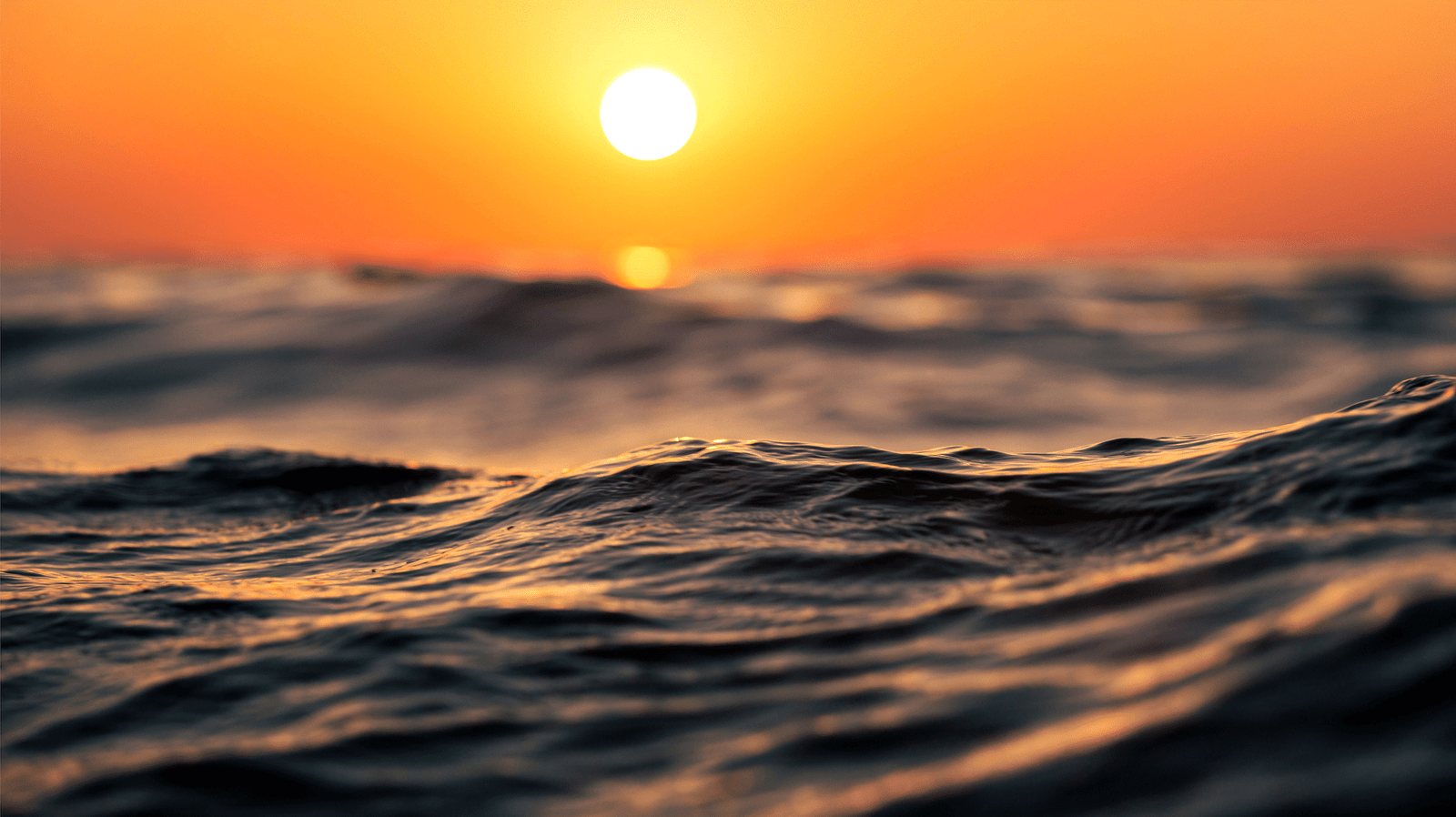 Surfez sur la vague de l’énergie houlomotrice