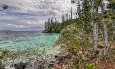 Îlot Casy, quasiment le paradis
