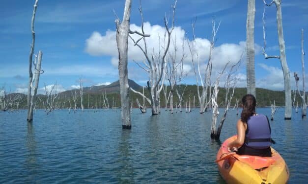 La rédac a testé pour vous… la balade en kayak dans la forêt noyée