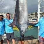 Un marlin noir de 239 kg pêché à la Simrad Big Game Classic 