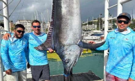 Un marlin noir de 239 kg pêché à la Simrad Big Game Classic 