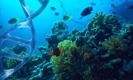 L’ADN environnemental, la clé invisible pour la protection des océans