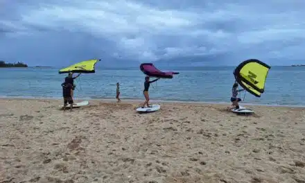 La rédac’ a testé pour vous la wing avec Aloha  