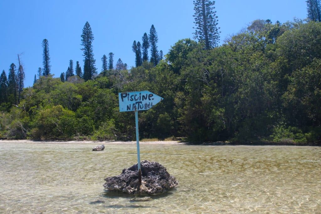 Piscine naturelle