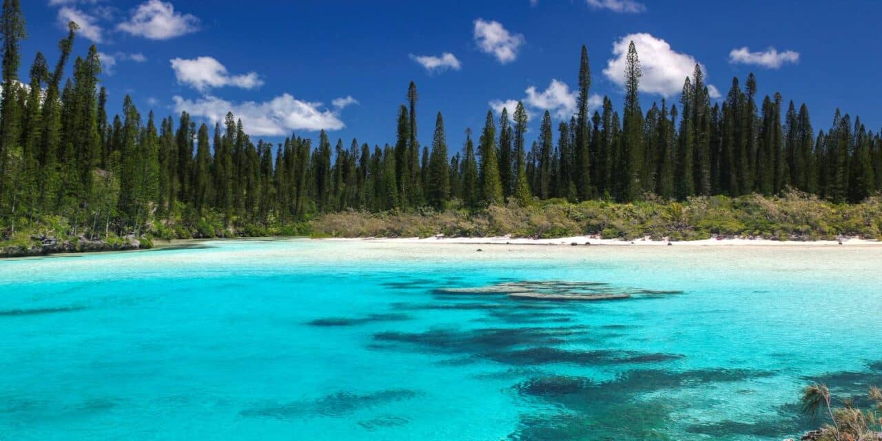 La rédac’ a testé pour vous… la piscine naturelle de l’Île des Pins