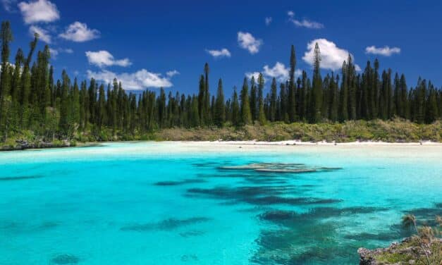 La rédac’ a testé pour vous… la piscine naturelle de l’Île des Pins