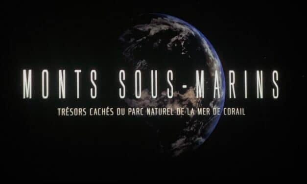 Une soirée sous les vagues du Parc naturel de la mer de Corail