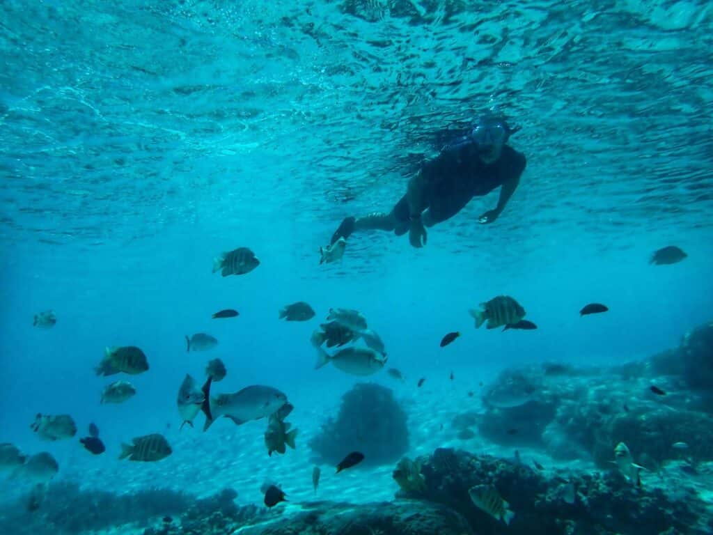Piscine naturelle