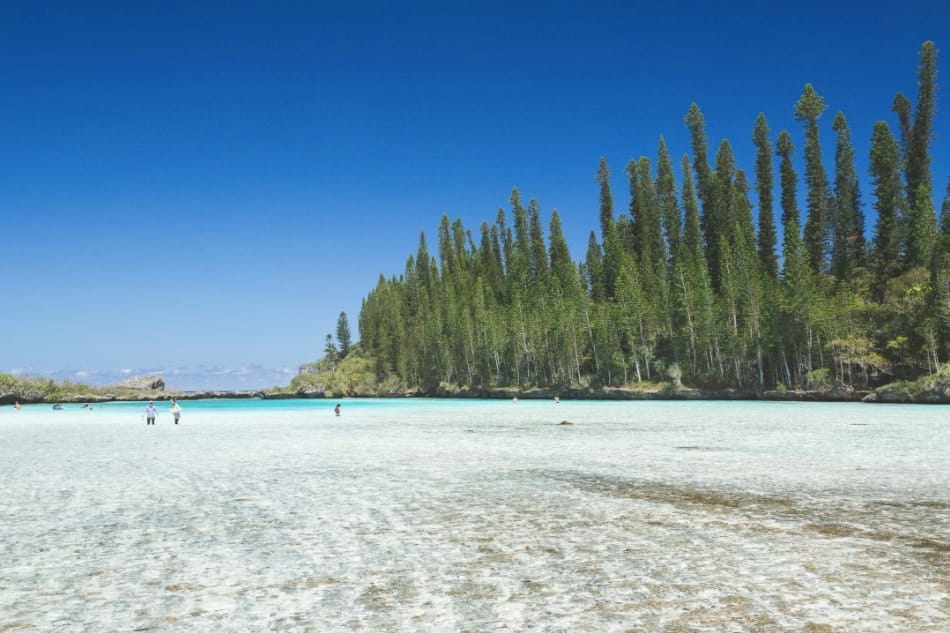 Piscine naturelle