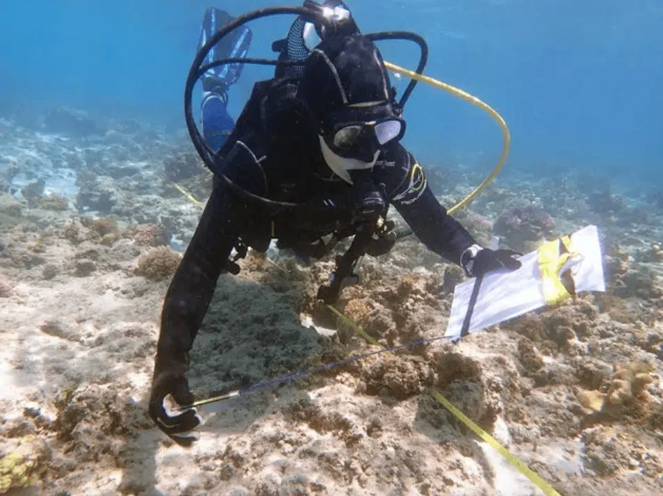 Nautilus 360