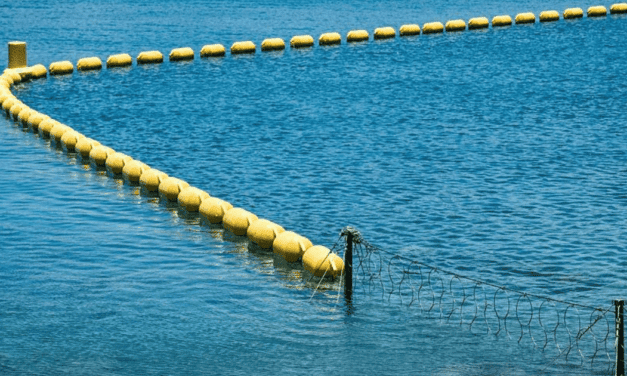 La Baie des Citrons sous filet : paradis protégé ou écosystème en danger ?