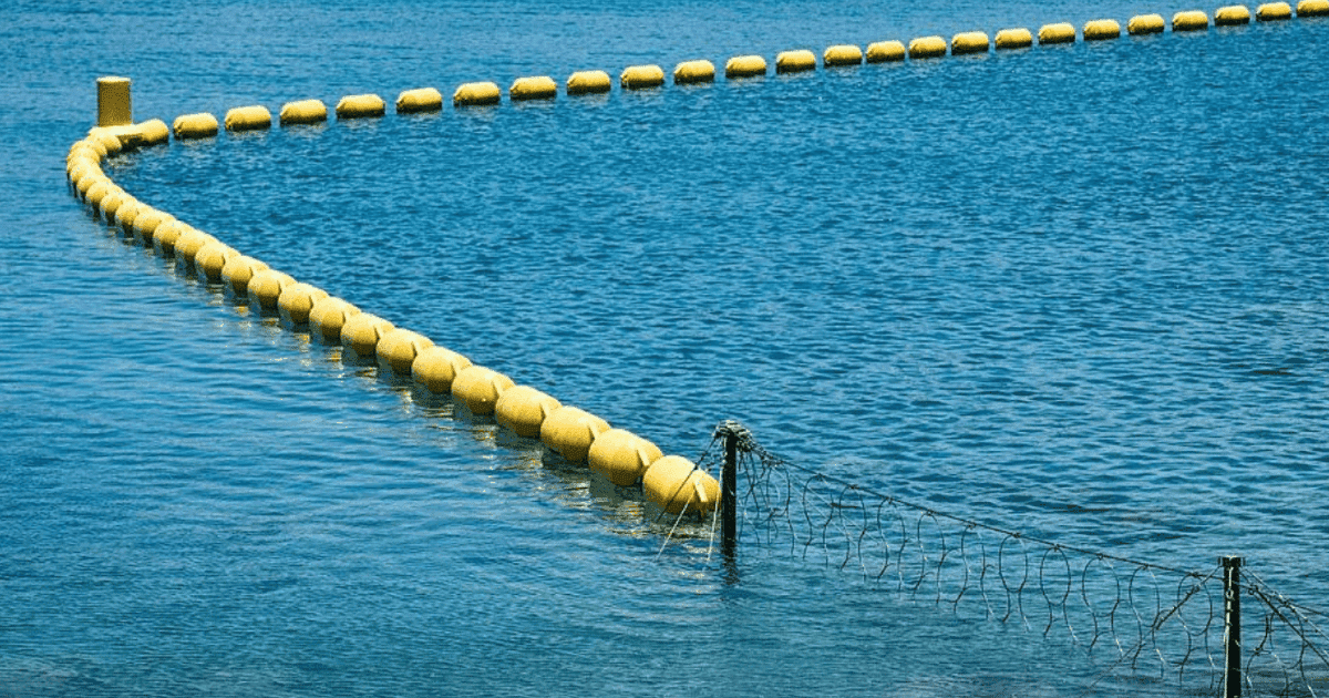 La Baie des Citrons sous filet : paradis protégé ou écosystème en danger ?