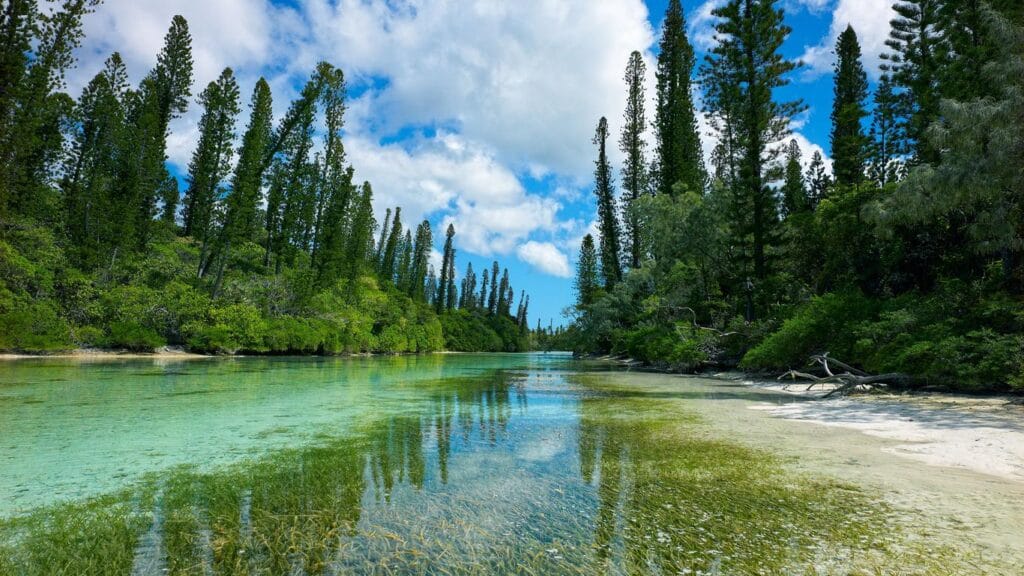 Piscine naturelle