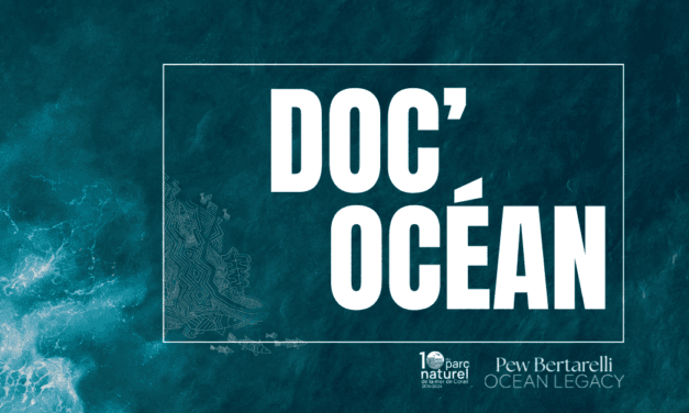 Doc’Ocean, cap au large avec les hommes du thon 