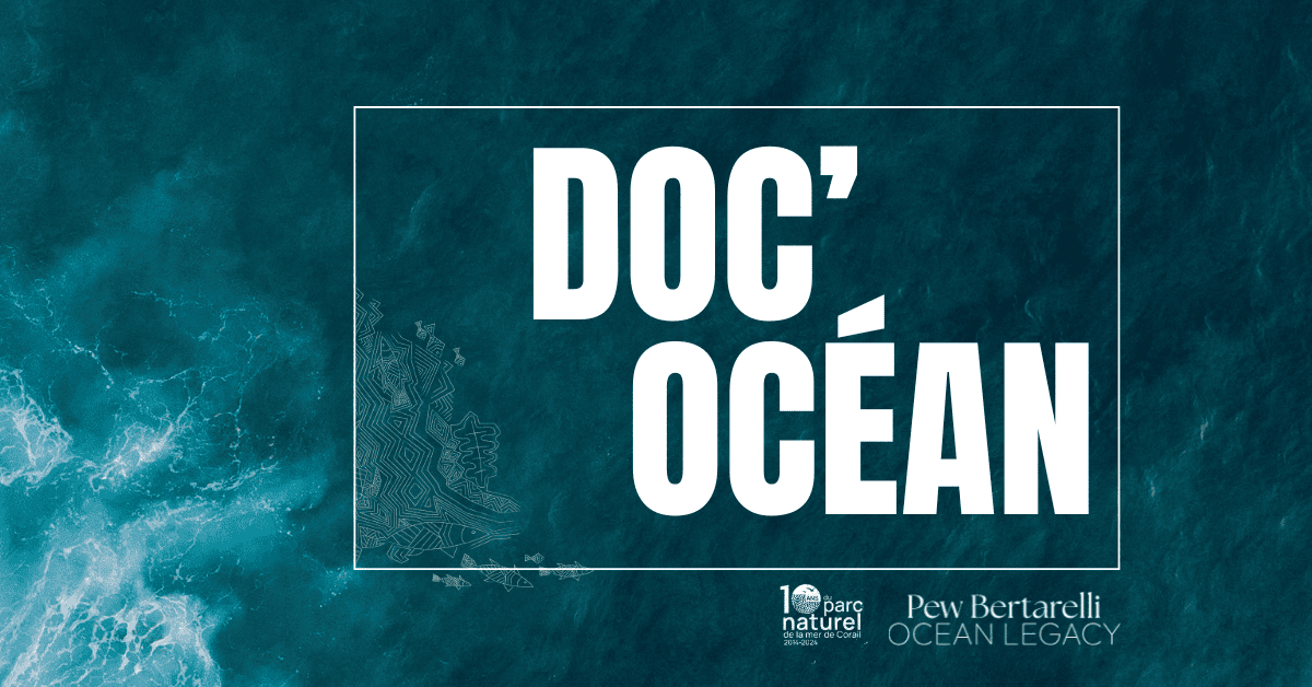 Doc’Ocean, cap au large avec les hommes du thon 