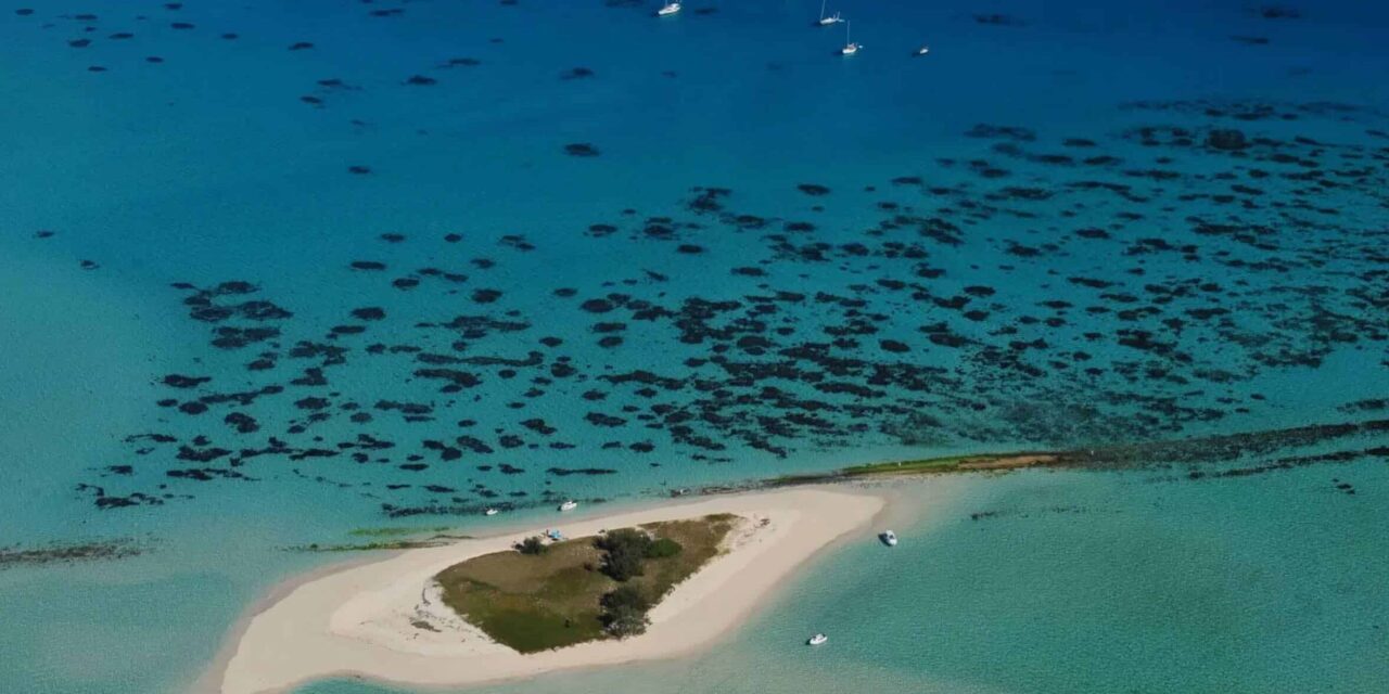 Goéland, l’îlot qui vole la vedette  