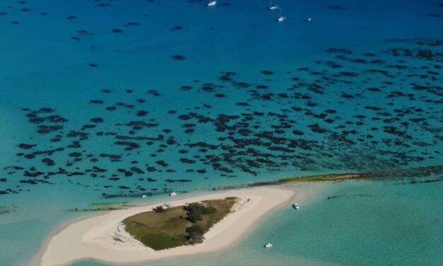 Goéland, l’îlot qui vole la vedette  
