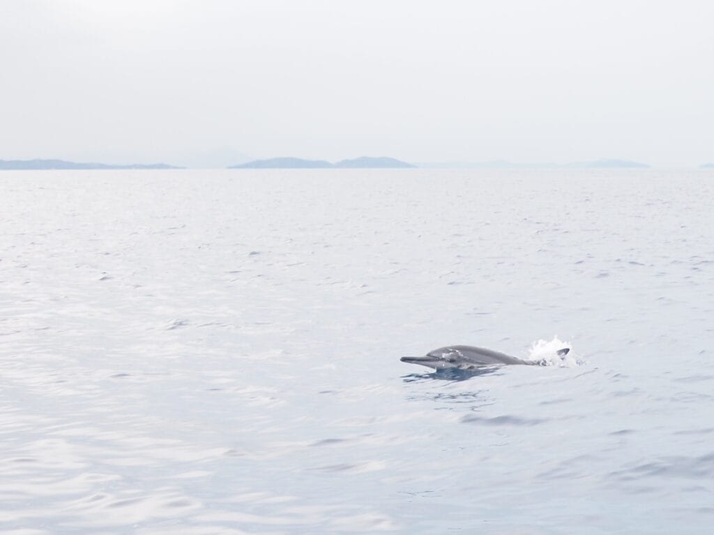 mer