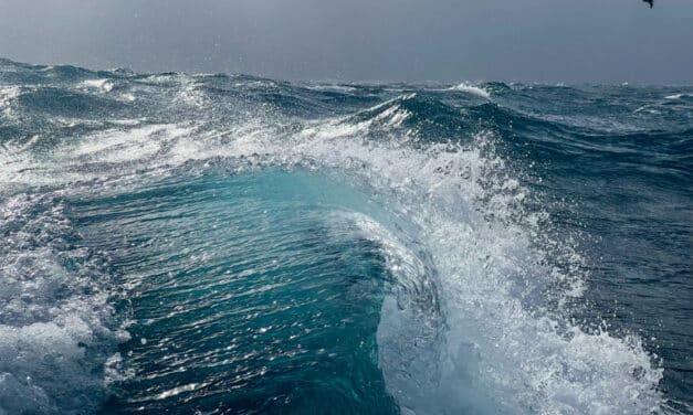 Tous à bord pour la Journée de la mer