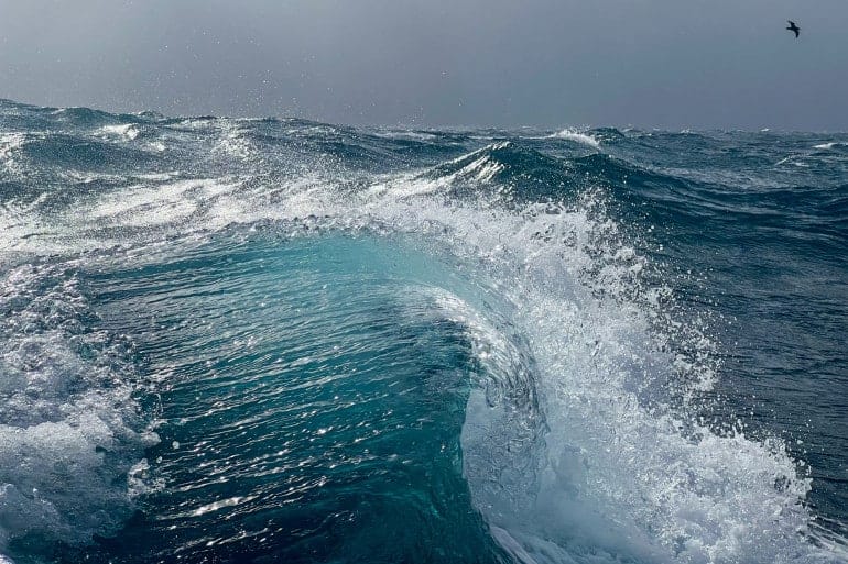 Tous à bord pour la Journée de la mer