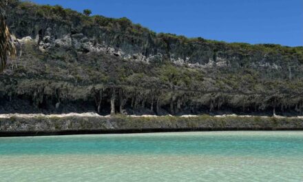 24h sur l’île la plus proche du paradis