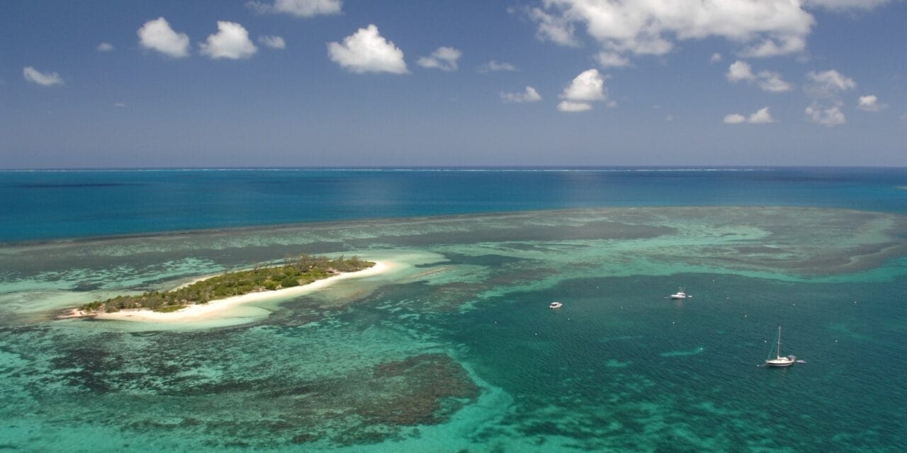 Touche pas à mon îlot !