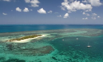 Touche pas à mon îlot !