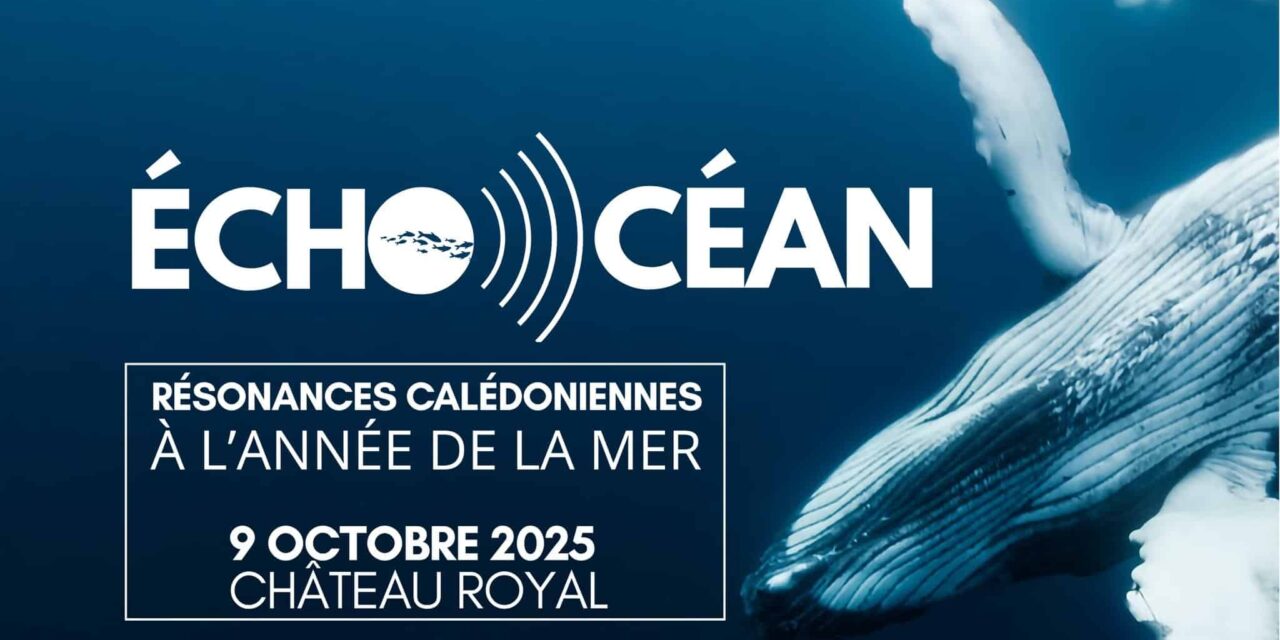 Éch’Océan fait des vagues pour l’Année de la Mer