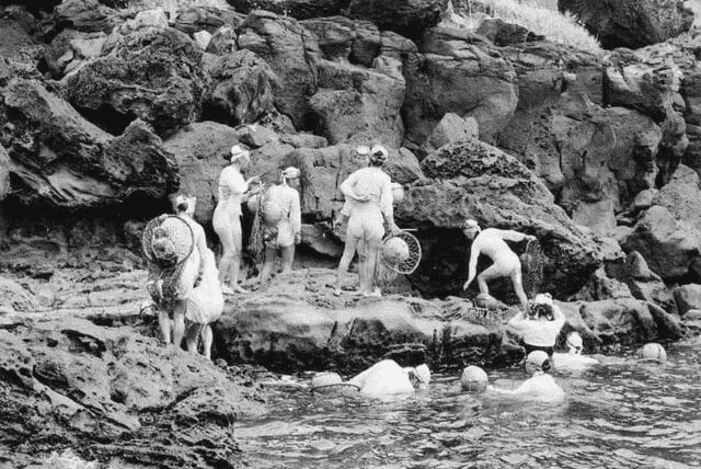 Haenyeo
