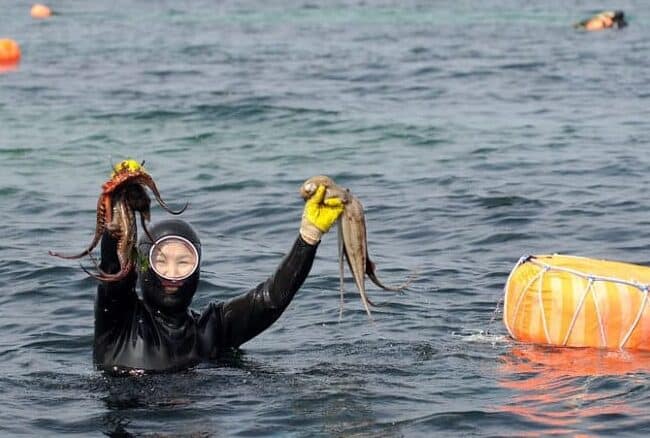 Haenyeo