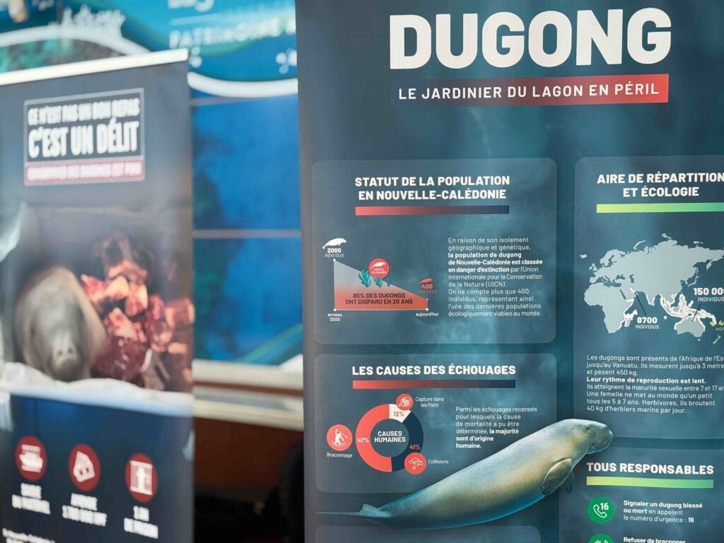 dugong