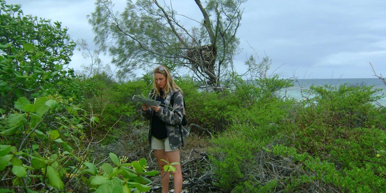 Rencontre avec Laurence Bachet, gestionnaire du réseau d’Aires Marines Protégées à la province Sud 