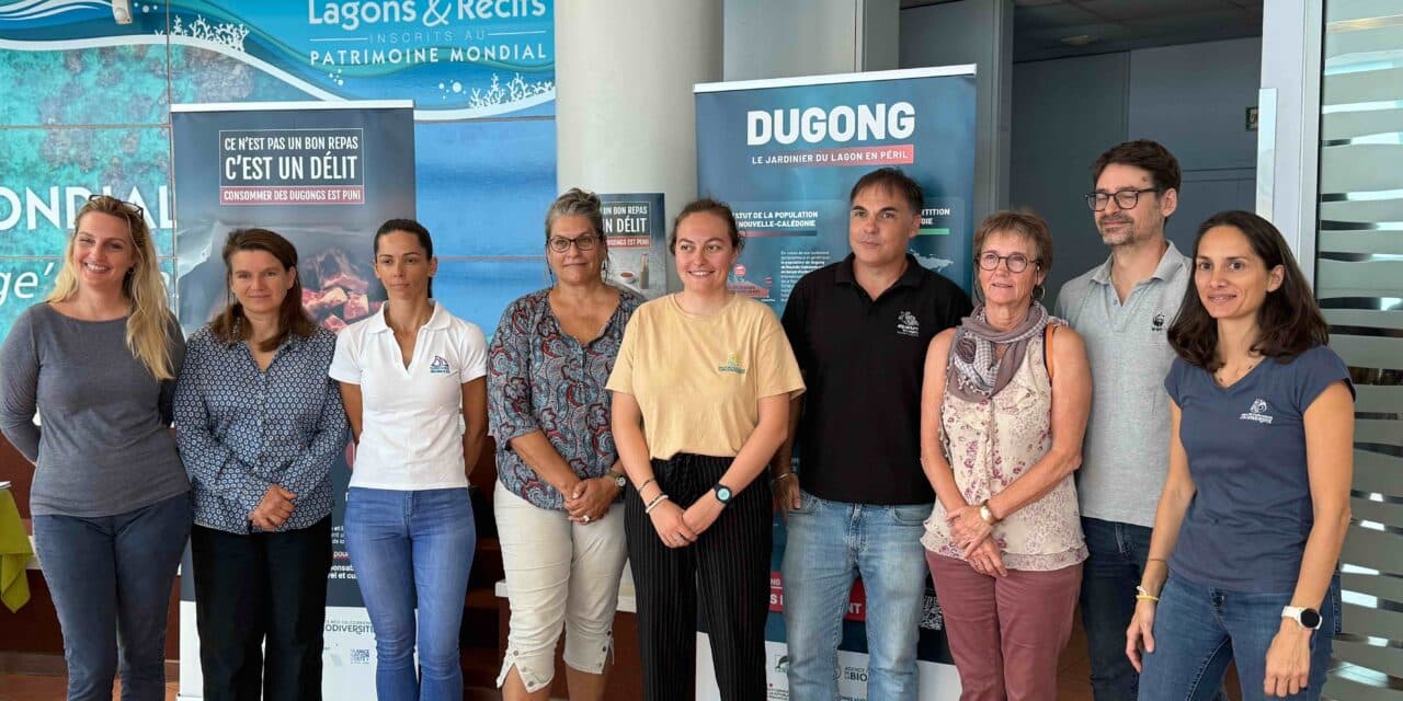 S.O.S d’un dugong en détresse
