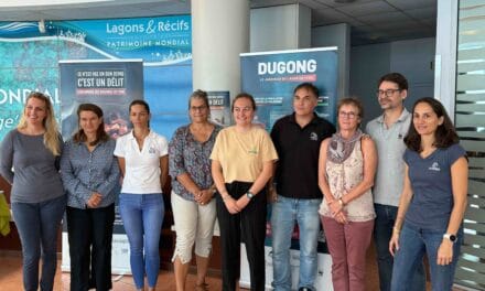 S.O.S d’un dugong en détresse