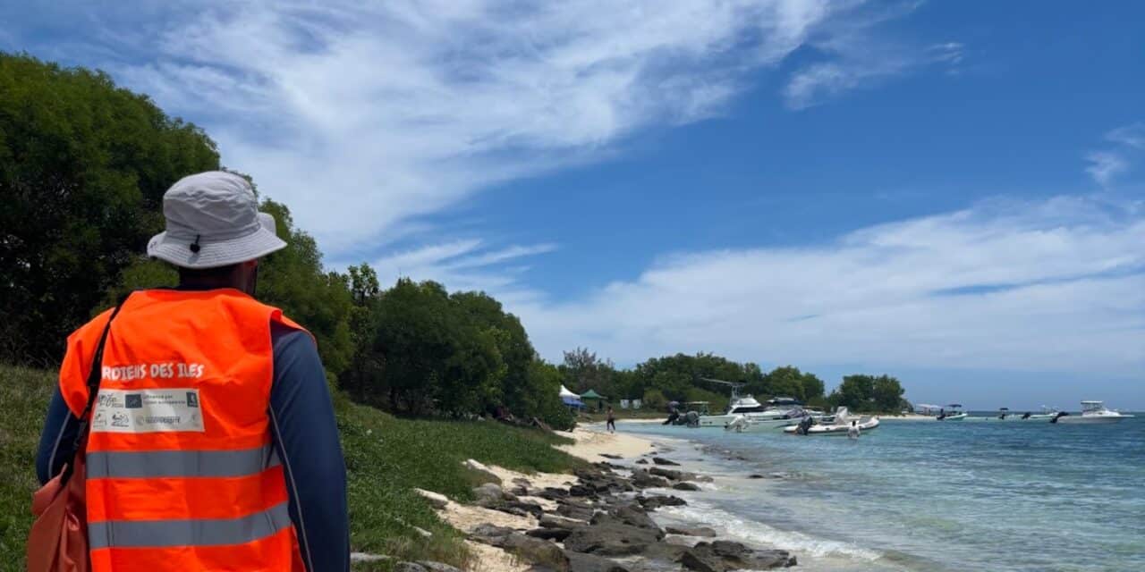 3 Questions À Nathanaël Ambroise, coordinateur du projet CONNECT’Iles avec Gardiens des Îles