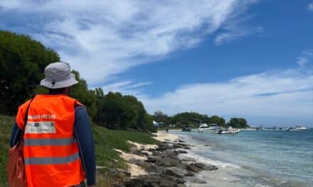 3 Questions À Nathanaël Ambroise, coordinateur du projet CONNECT’Iles avec Gardiens des Îles