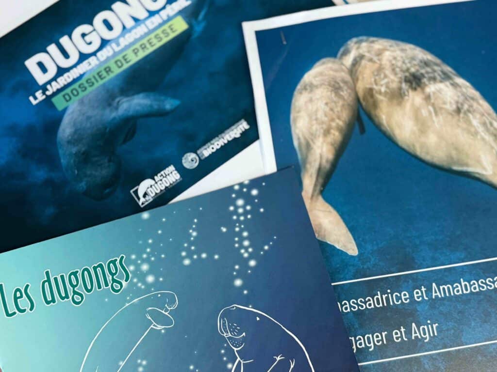 dugong