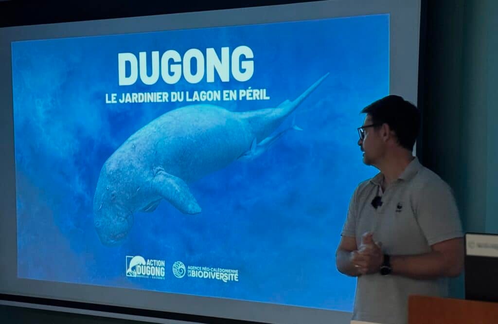 dugong