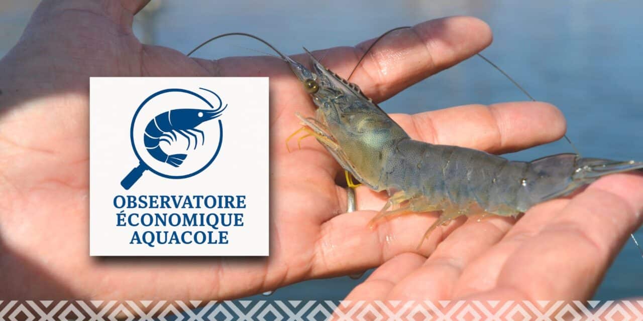 Rencontre avec Virginie Roussery, chargée d’études à l’Agence rurale