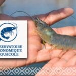 Rencontre avec Virginie Roussery, chargée d’études à l’Agence rurale