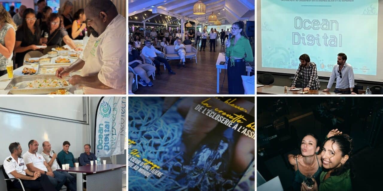 LE MOT DE LA RÉDAC’ ; BYE 2025, HELLO 2026 !