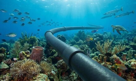 Entre Lifou et le Vanuatu, Tamtam donne le rythme