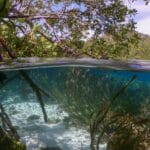 Rien ne se perd, tout se transforme