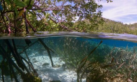 Rien ne se perd, tout se transforme