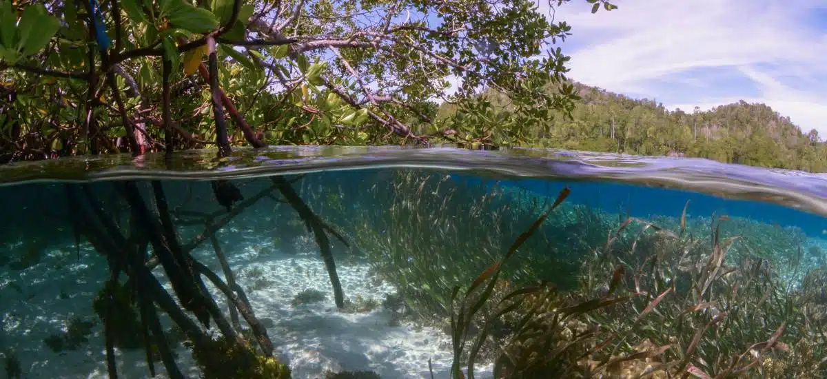 Rien ne se perd, tout se transforme