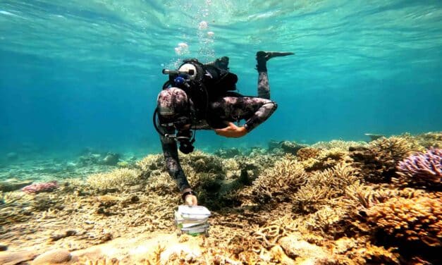 Rencontre avec Nicolas Garcia-Seyda, cuisto pour les coraux