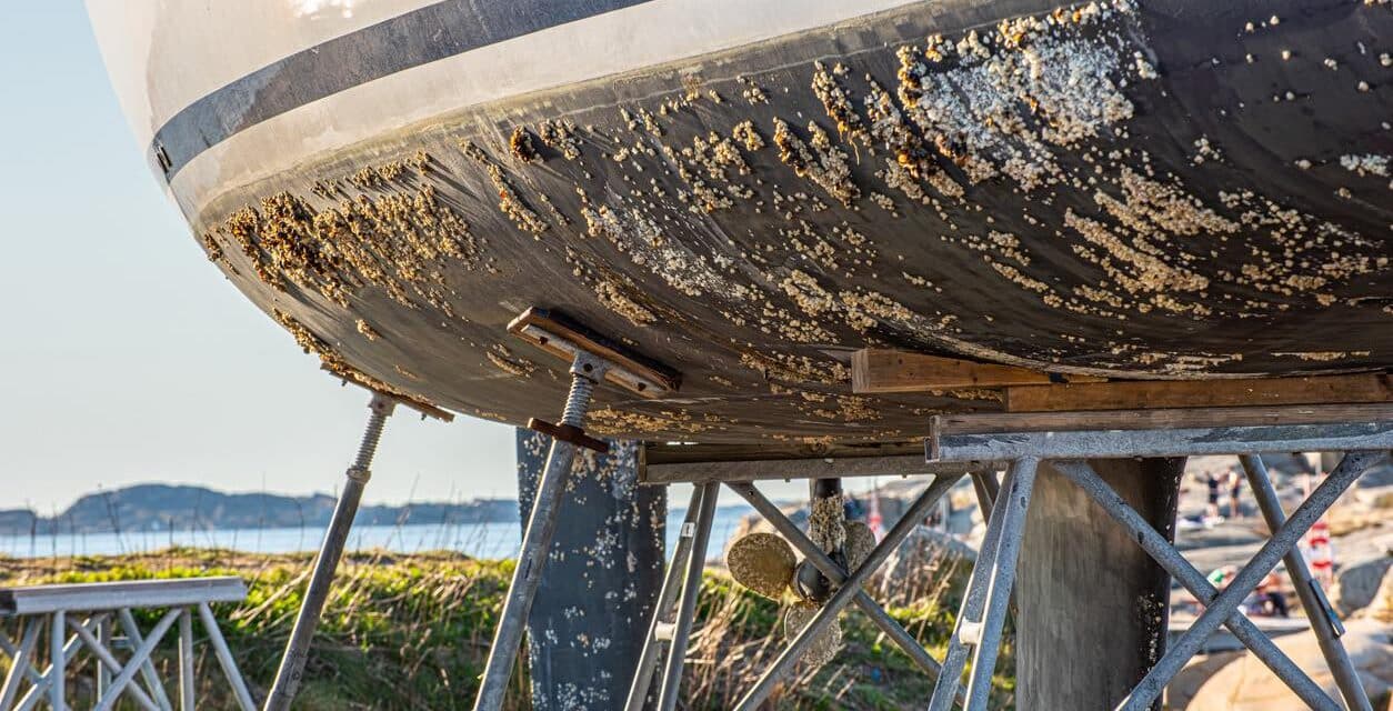 L’antifouling rentre dans le droit chemin