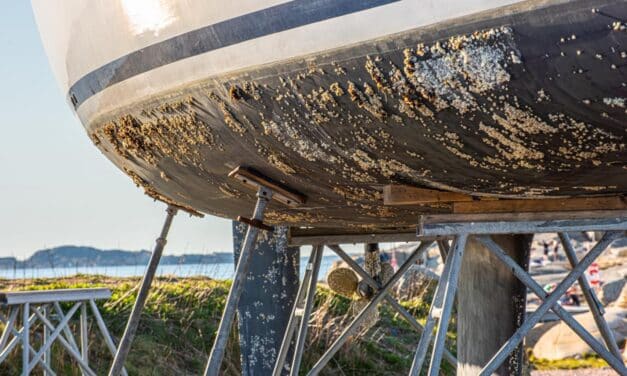 L’antifouling rentre dans le droit chemin