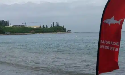 Nouvelle-Calédonie, hotspot du risque requin ?